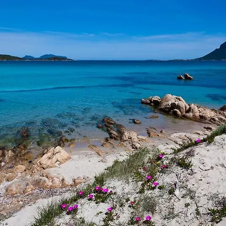 Smart Appart Cosy Sardinia بيت للعطل *